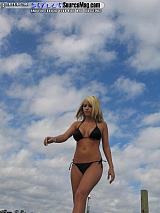 springfling Show Images Page 4